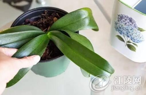 QQ��ͼ20170916093939.jpg