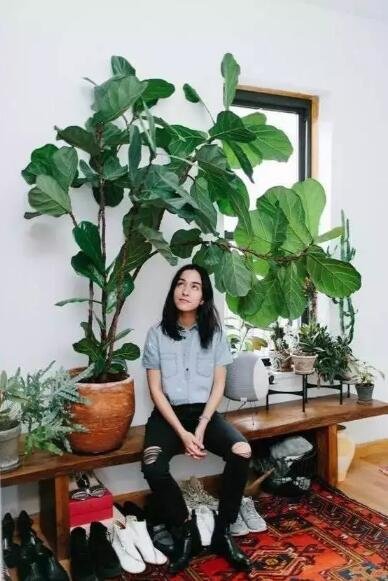QQ��ͼ20170916093714.jpg