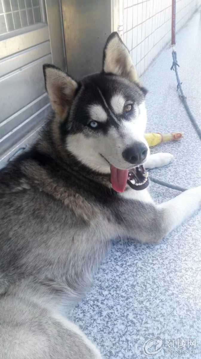 1506308309639.jpeg