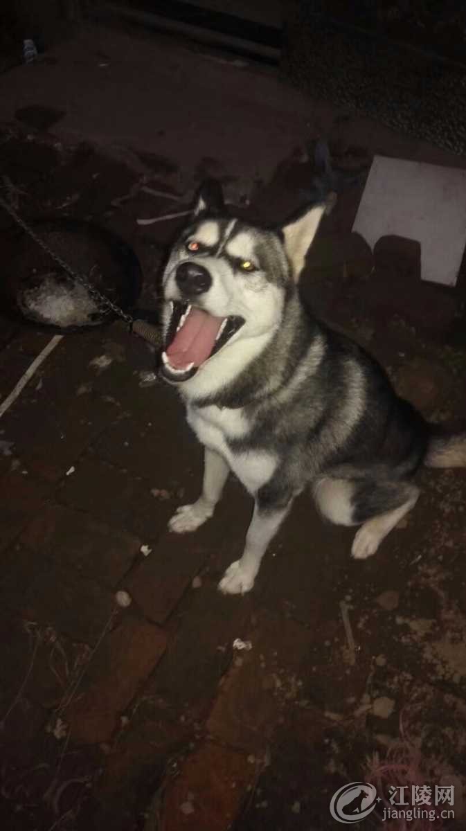 1506308271601.jpeg