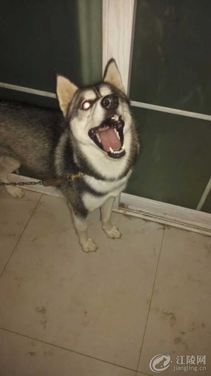 1506308265688.jpeg