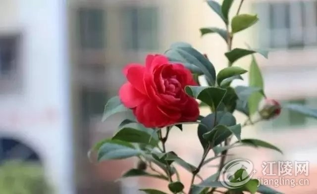 640.webp (21).jpg