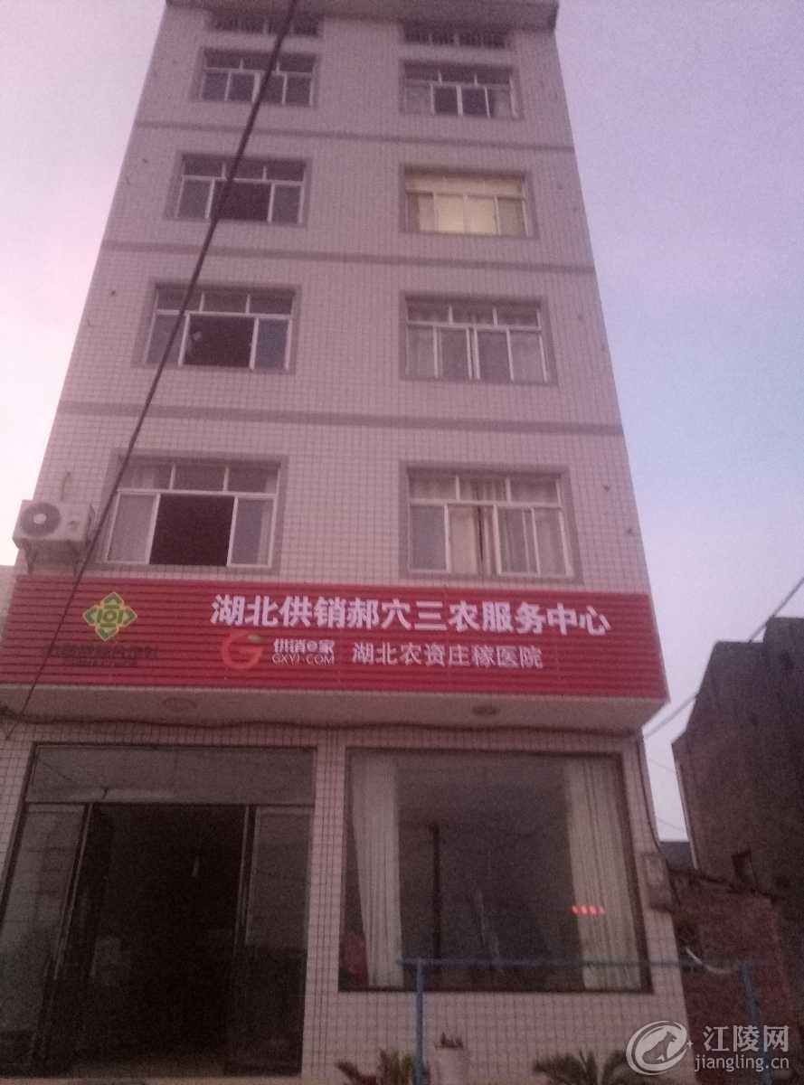 P70727-193955.jpg