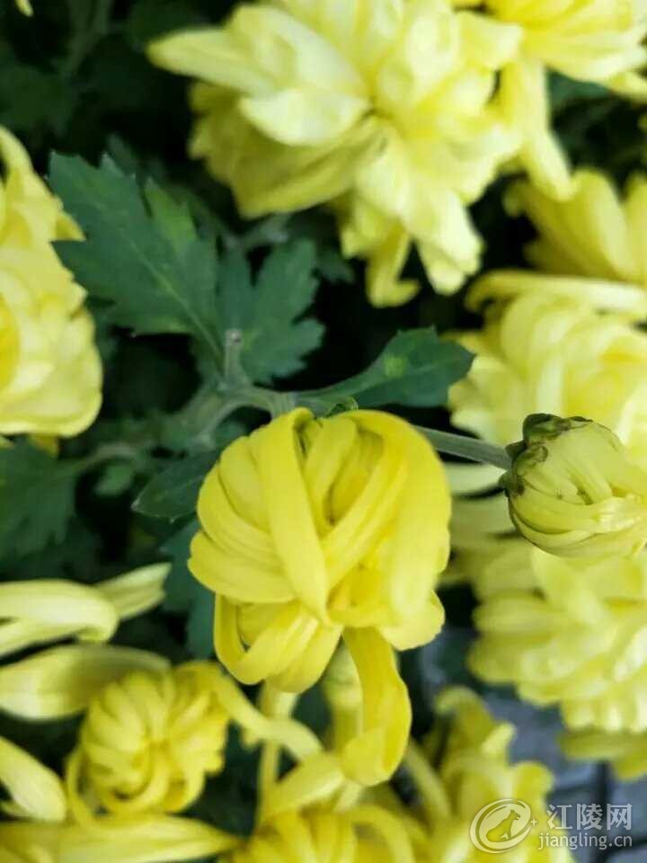 -93760644.jpg