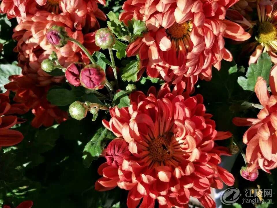 359869705.jpg