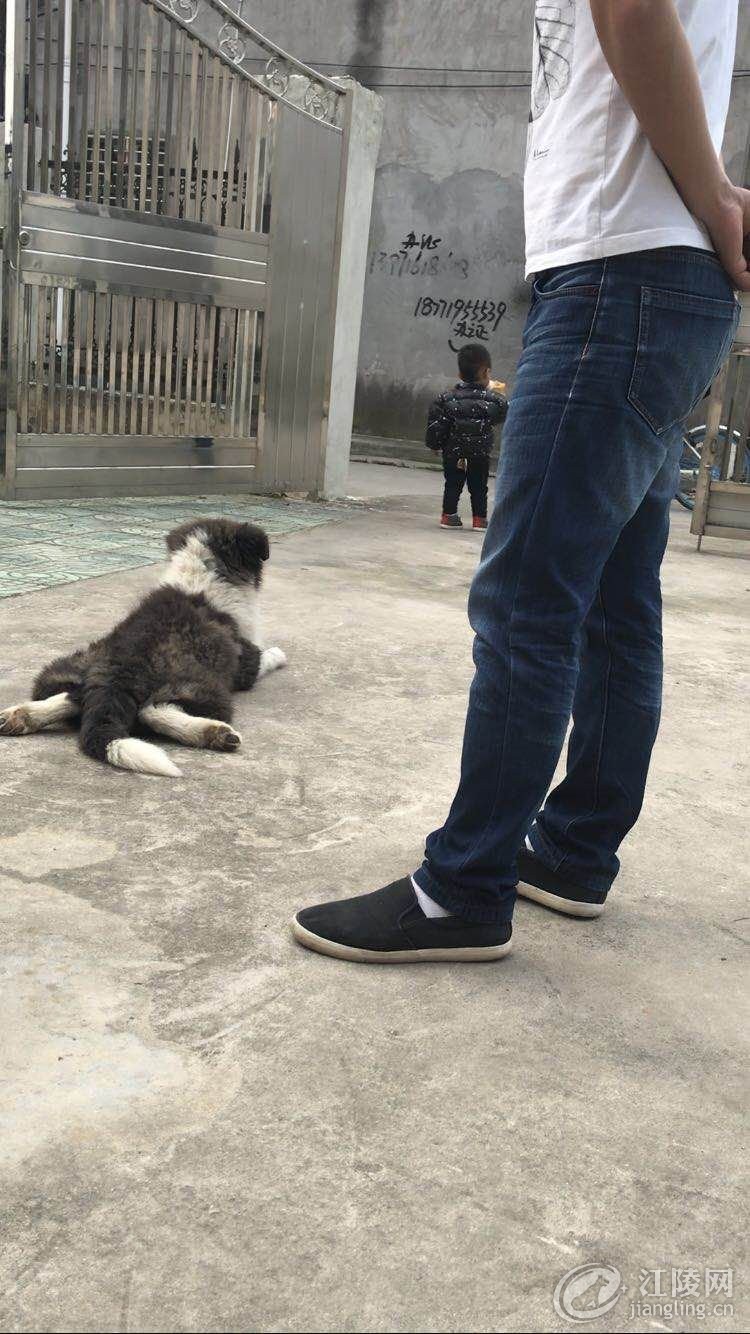 QQͼƬ20171110224558.jpg