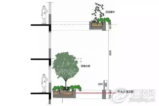 ����.webp (8).jpg