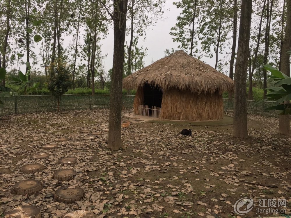 ΢��ͼƬ_20171114103343.jpg