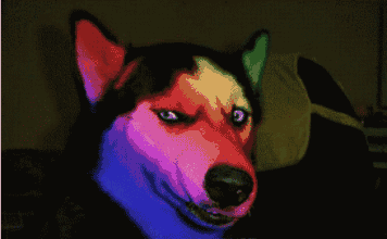 0.gif