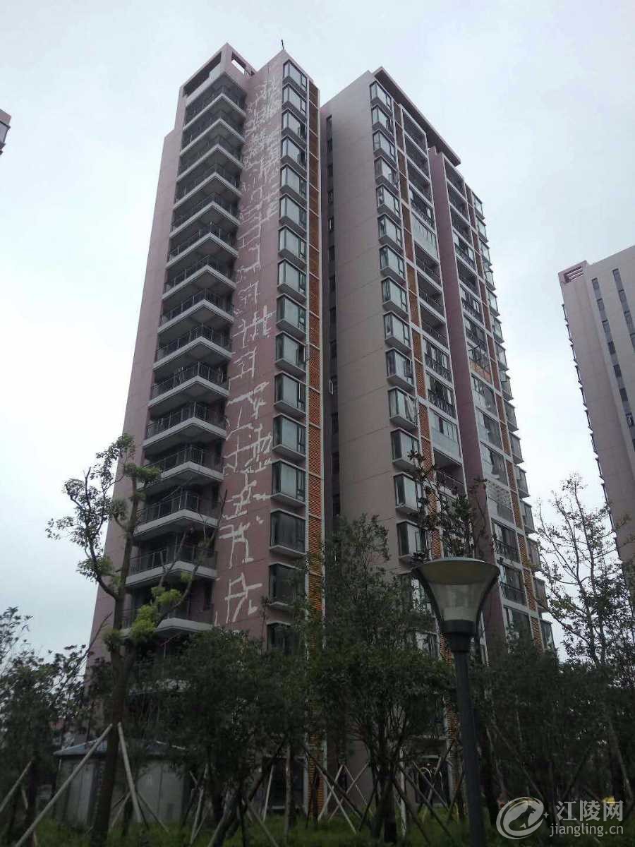 mmexport1511797315958.jpg