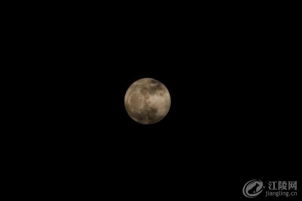562A2353_����.jpg