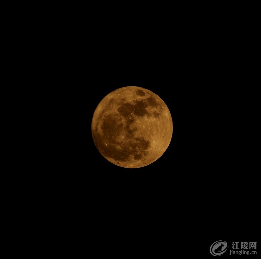 562A2360_����.jpg
