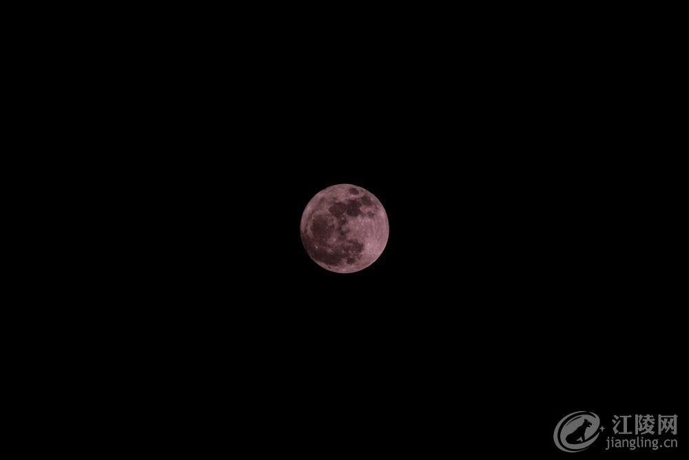562A2363_����.jpg