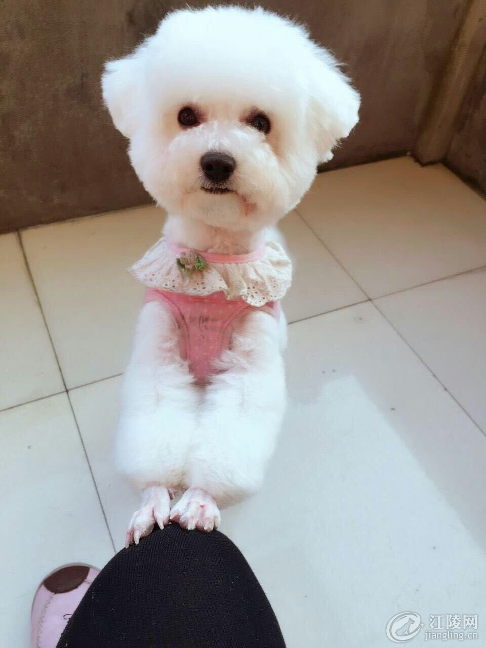 ������_20171205_123442.jpg
