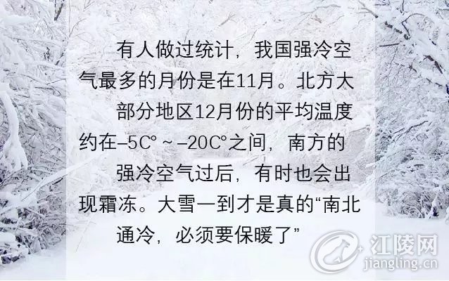 640 (1).webp (37).jpg