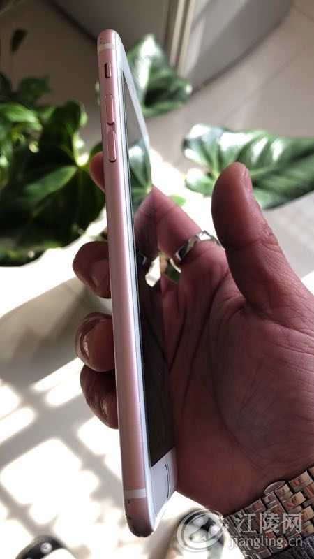 mmexport1513574739713.jpg