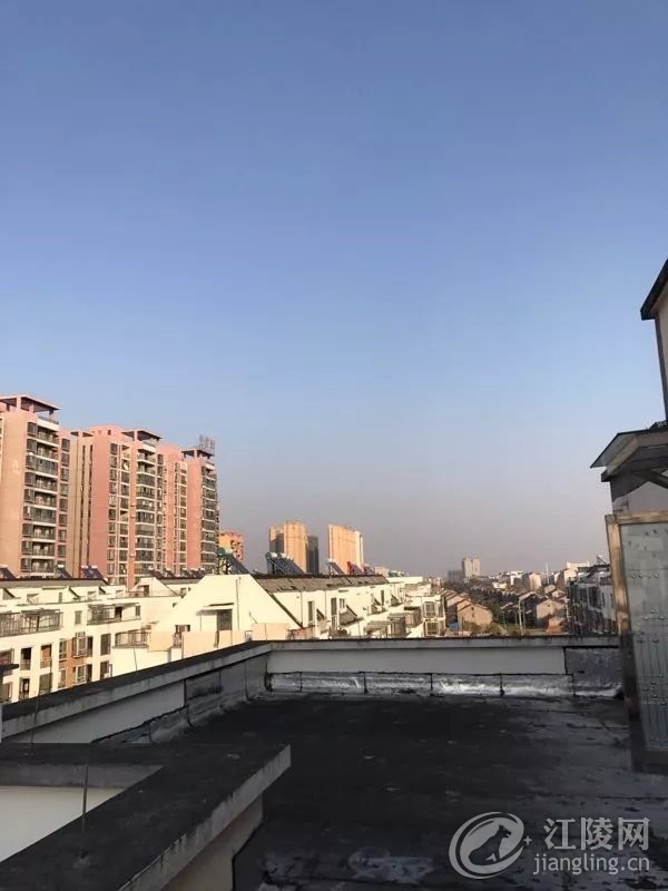 640.webp (12).jpg