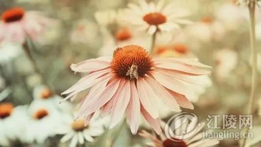 640.webp (14).jpg