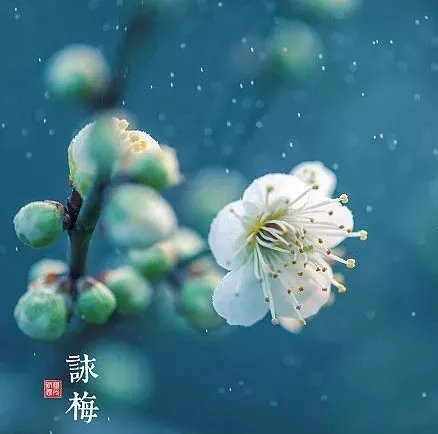 ����.webp (1).jpg