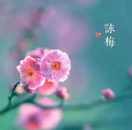 ����.webp (2).jpg