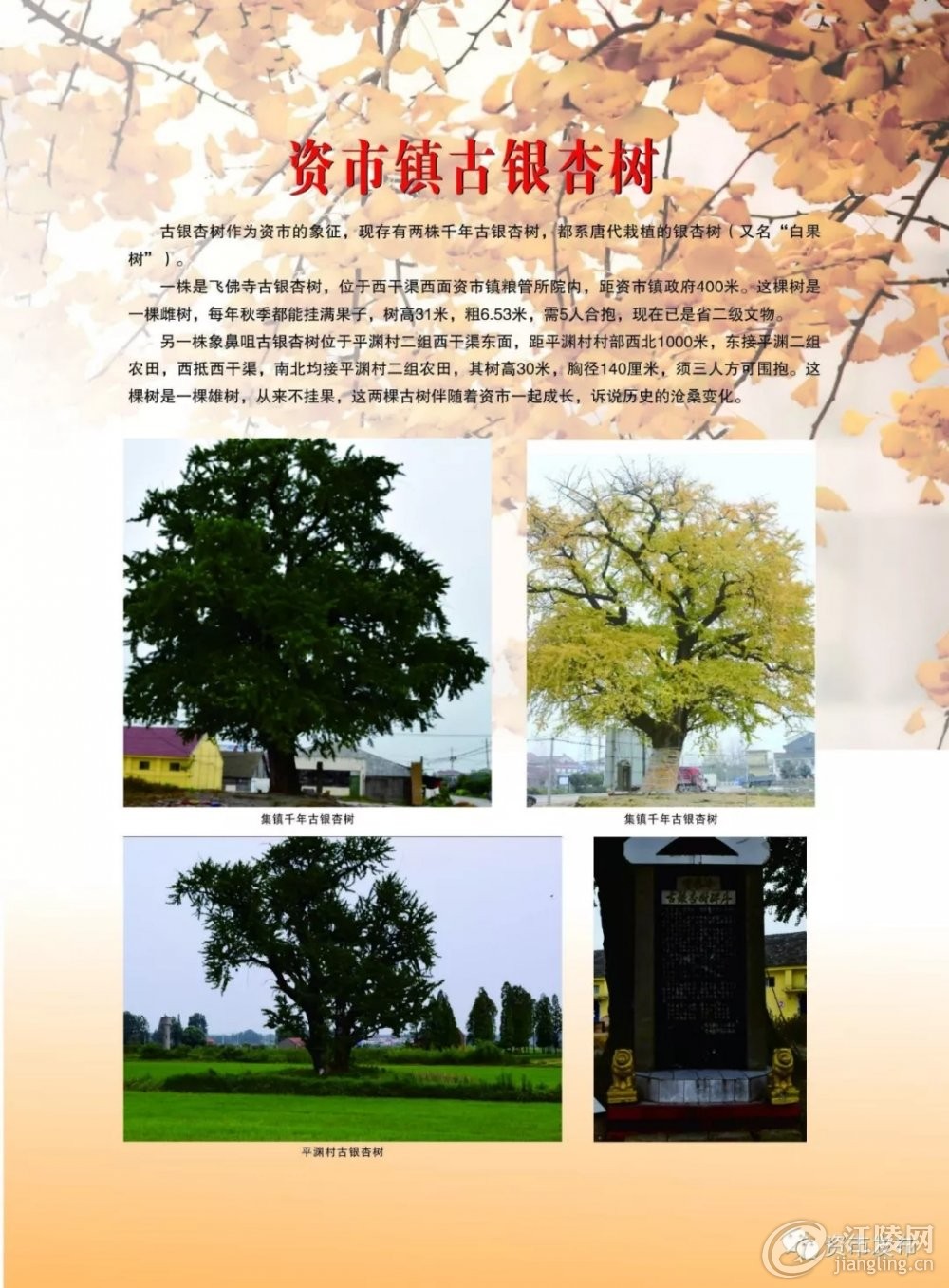 640.webp (20).jpg