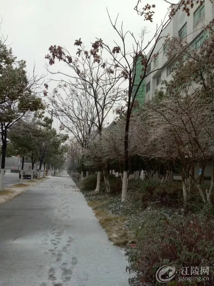 640.webp (14).jpg