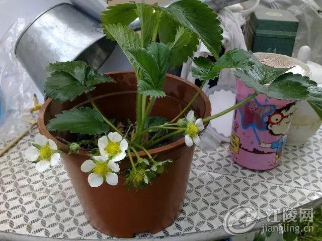 640.webp (30).jpg
