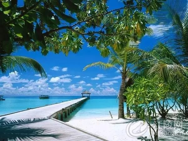 640.webp (12).jpg