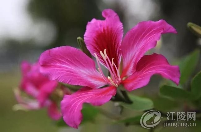 ����.webp (10).jpg