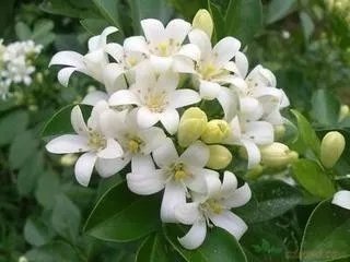 ����.webp (8).jpg