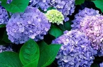 ����.webp (7).jpg