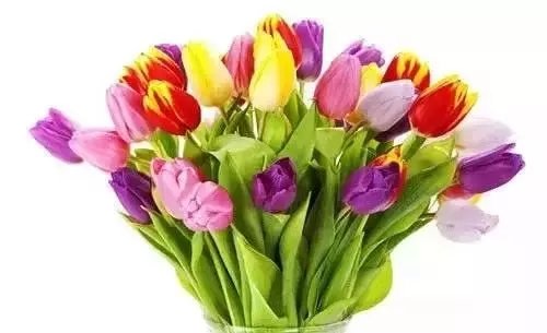 ����.webp (13).jpg