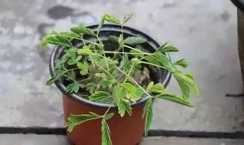 ����.webp (11).jpg