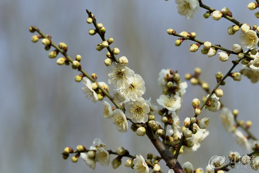 562A6000_����.jpg