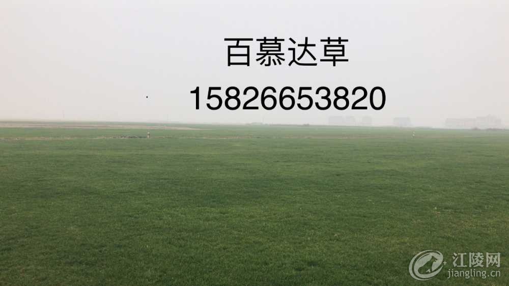 2A180BA9-5DD4-44C6-BEB6-C1DC8F65C1CD.jpeg