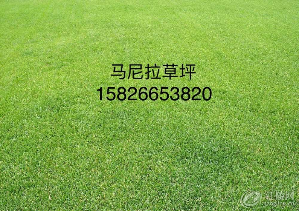 2729B32C-1D0B-4D9E-A7EA-D200308BF232.jpeg