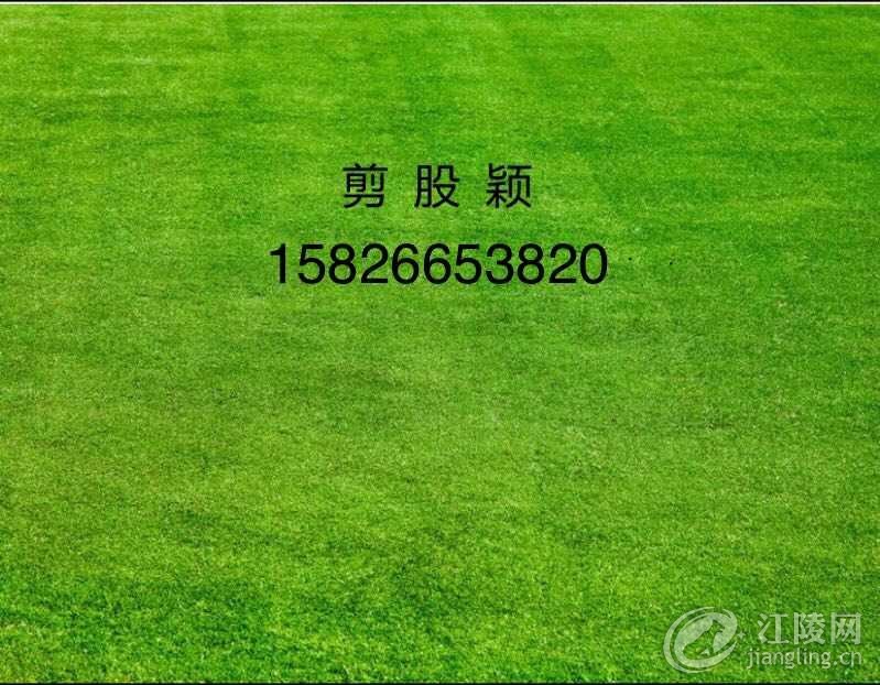 1EE9B92C-BF98-4093-972D-47EA4F8B66E0.jpeg