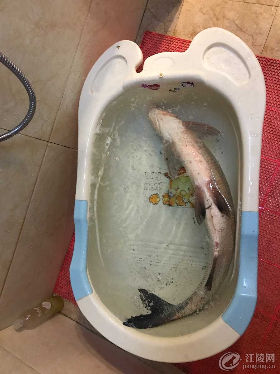 image.jpg