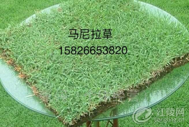 F195AA64-3E35-4492-B558-3B8C7BE368BA.jpeg