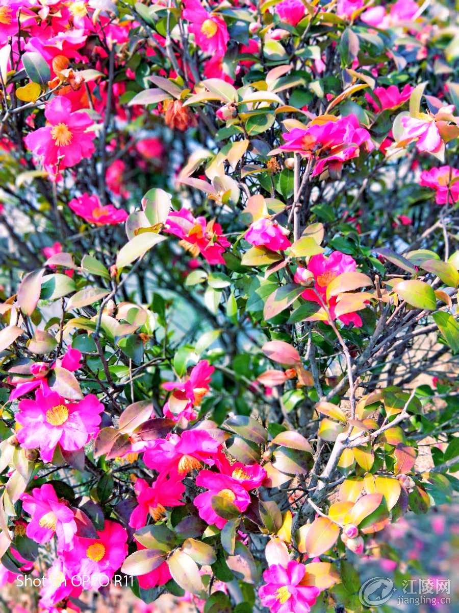 IMG20180228133132_mix01.jpg