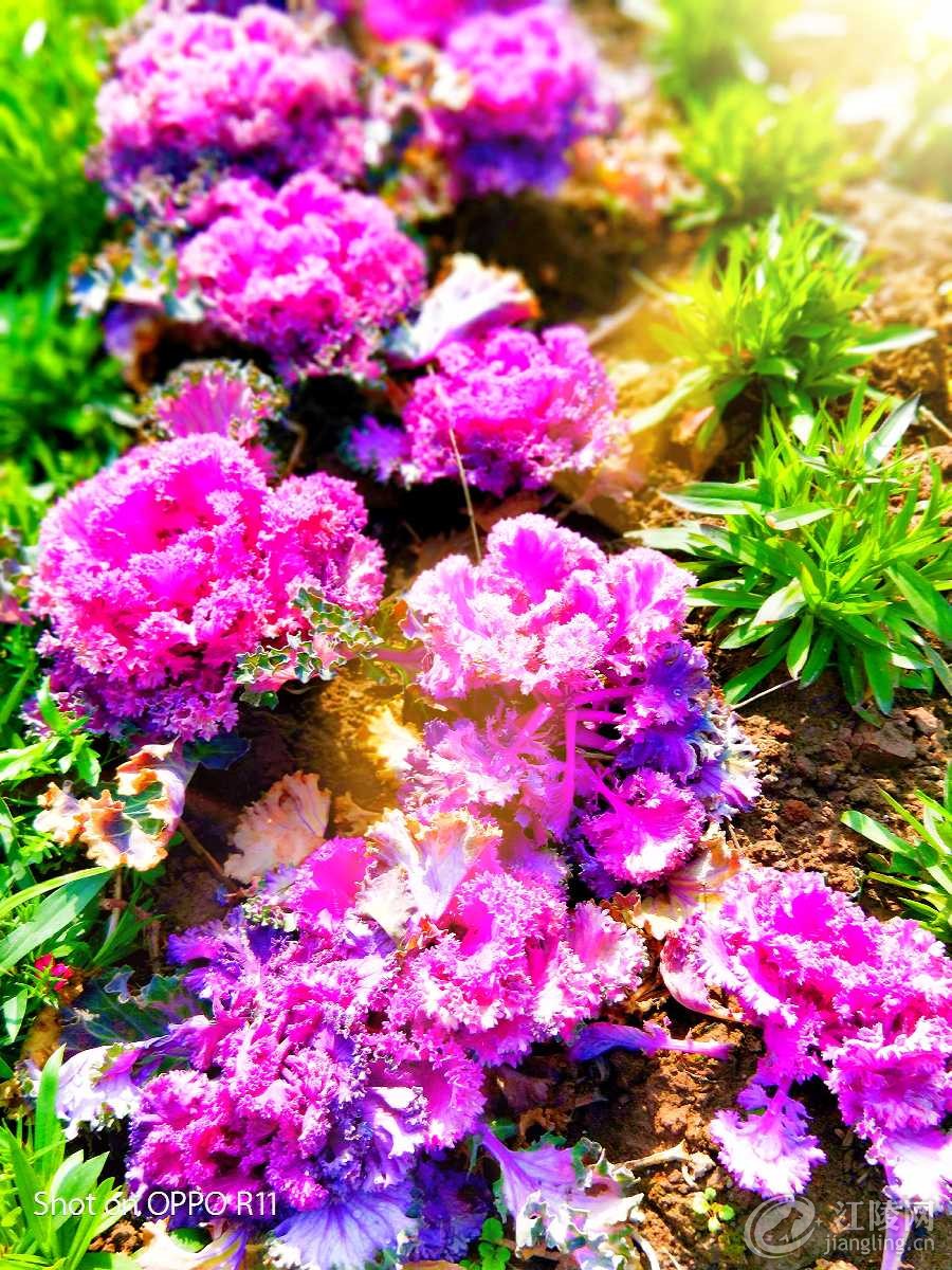IMG20180228130506_mix01.jpg
