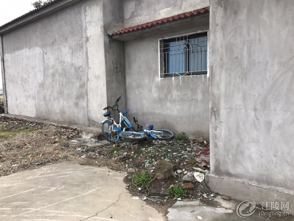 ΢��ͼƬ_201803051907227.jpg