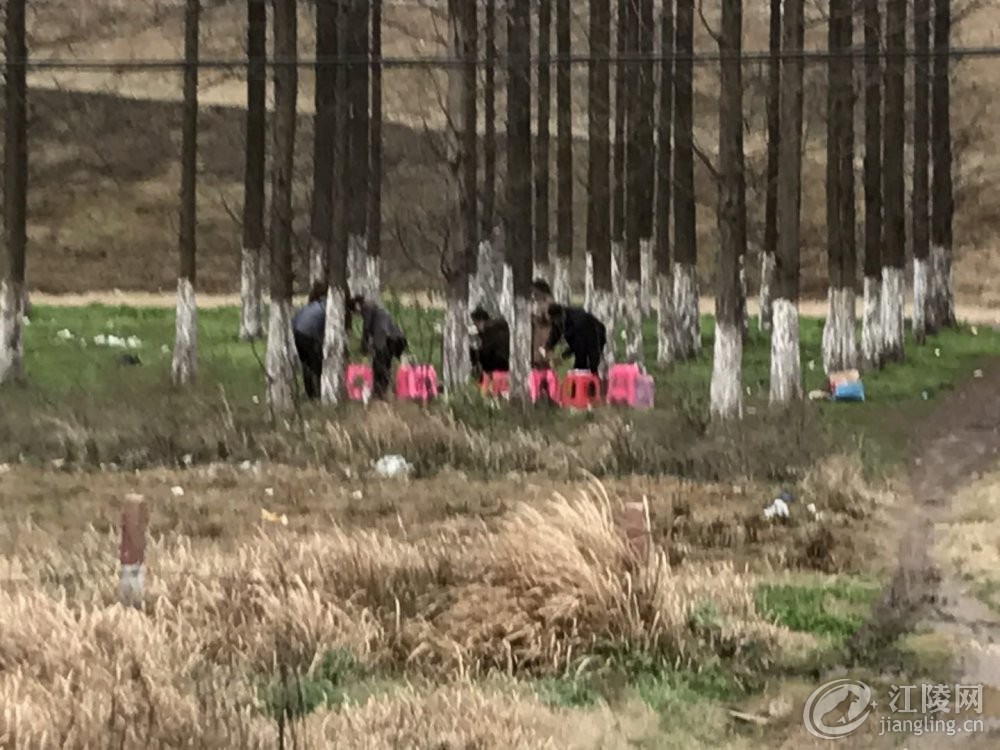 ΢��ͼƬ_2018030519072212.jpg