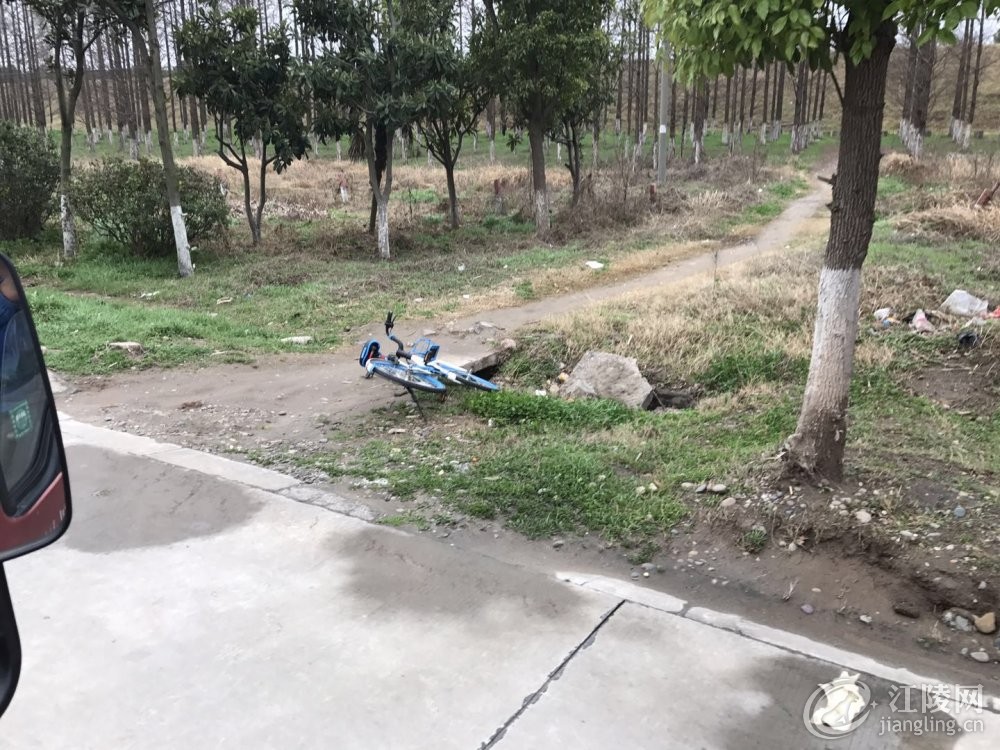 ΢��ͼƬ_2018030519072220.jpg