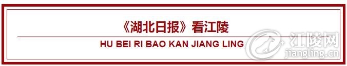 QQ��ͼ20180307091838.jpg