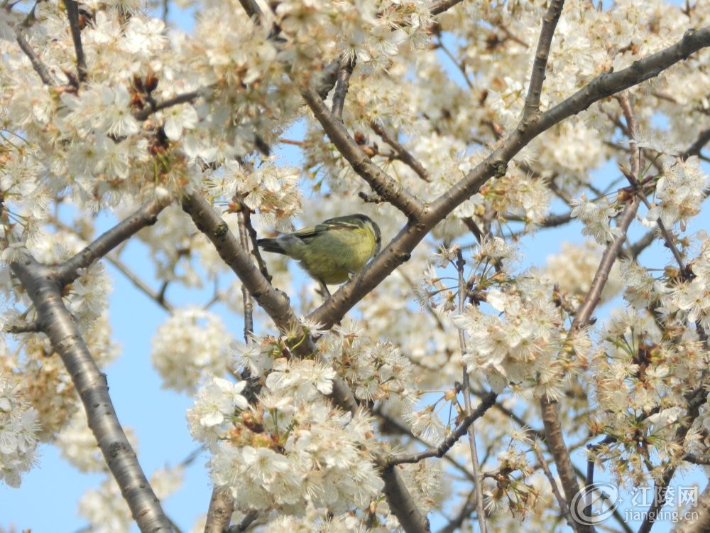 DSCN2870.JPG