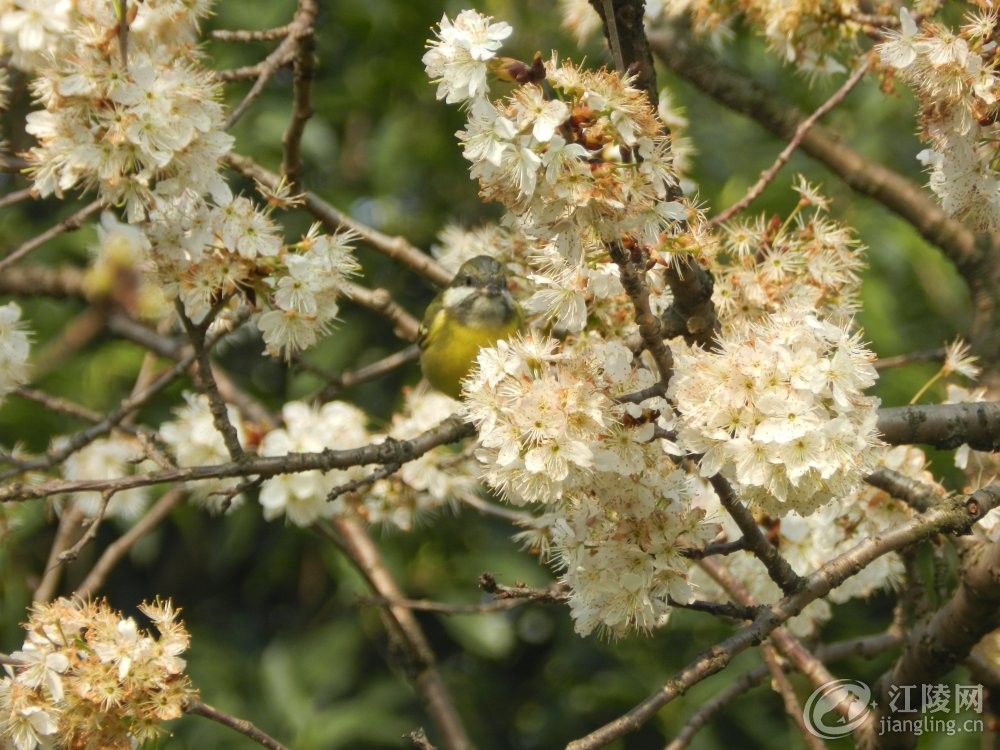 DSCN2918.JPG