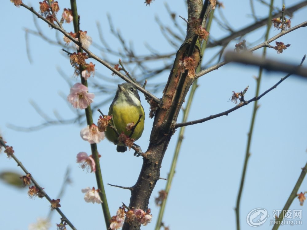 DSCN2939.JPG