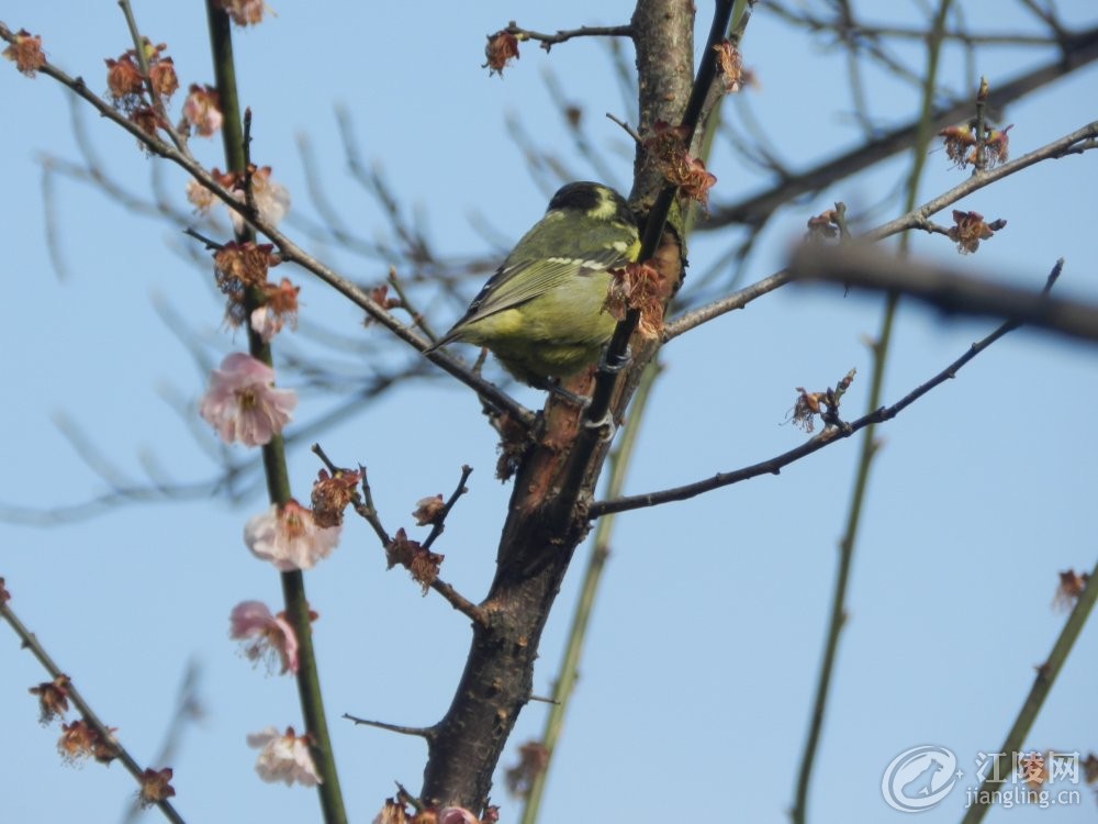 DSCN2940.JPG