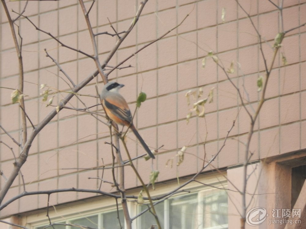 DSCN2089.JPG